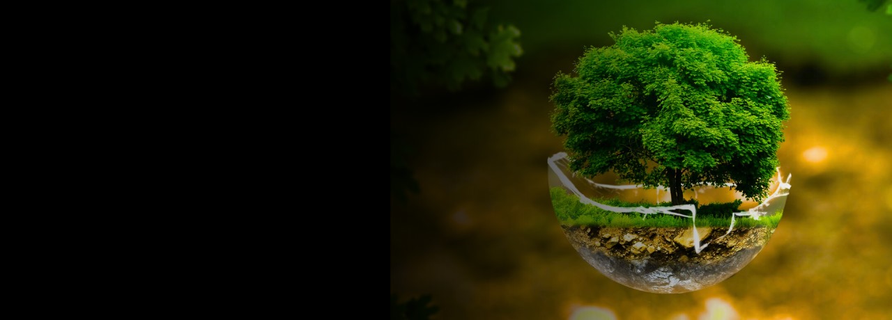 Award Winning Digital Business Cards