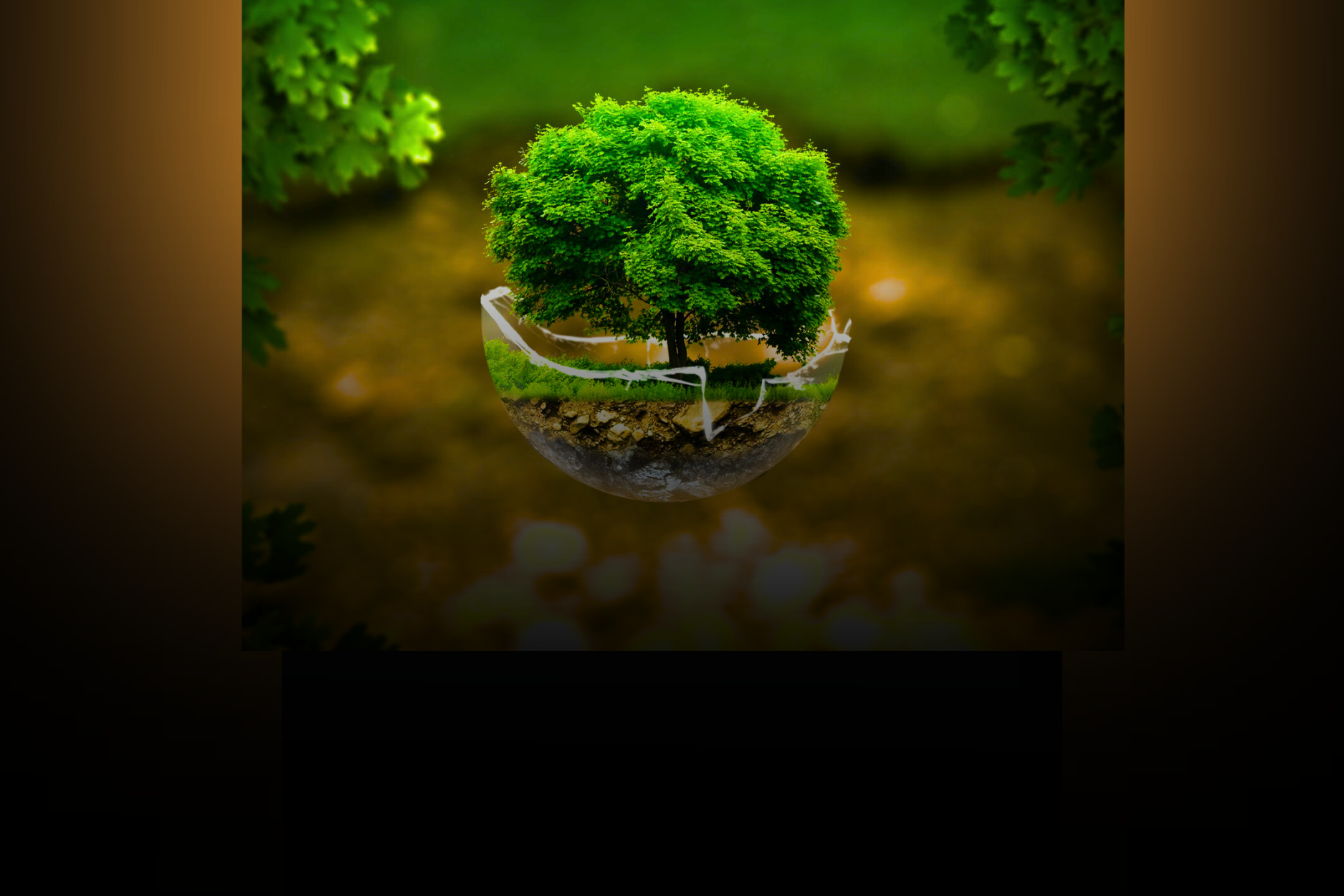 Award Winning Digital Business Cards